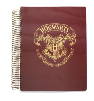 Gold Foil Spiral Notebook